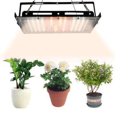 China Standard 100W Full Spectrum LED Grow Light Led 3rd Generation Warm White Red Purple Greenhouse Hydroponic Plant Lighting Grow Lamp for sale