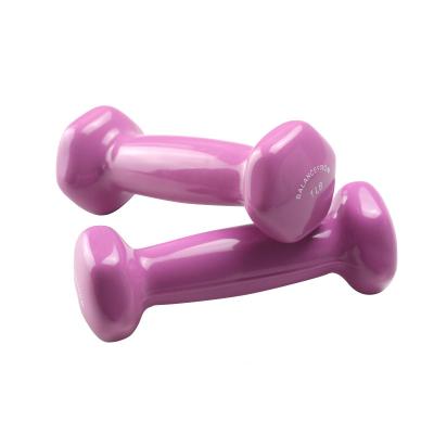 China Best Wholesale Modern Factory Quality Gym Weights Rubber Coated Dumbbell for sale