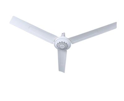 China Cheap electric household ceiling fan for home for sale