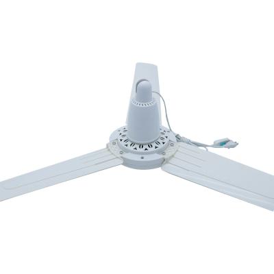 China Household Hot Sale Modern AC DC Ceiling Fan Home Appliances With White Plane Blade for sale