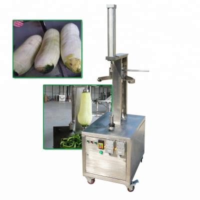 China Peeling WS-120FP industrial melon fruit mango papaya pumpkin vegetable peeling machine for sale