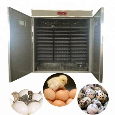 China High Quality Multifunctional Automatic Egg Incubator Chicken Egg Incubator in UAE for sale