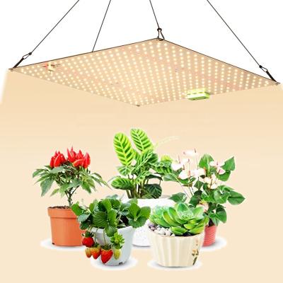 China FLOWER Amazon Hot Sale LED Grow Lamp 120W 150W Full Spectrum Phytolamp Indoor Plant Grow Light for sale