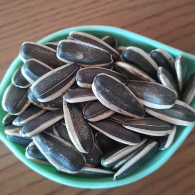 China 2022 High Quality Common Black Chinese Sunflower Seeds Seeds 363hybrid Sunflower Seeds for sale