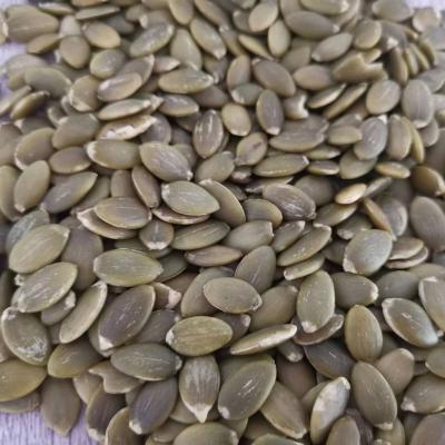 China Factory direct sale 2022 CHINESE pumpkin kernels of the new cultured pumpkin kernel KRLELS dry factory direct sale for sale