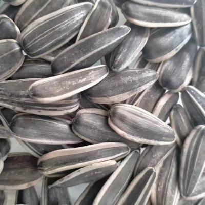 China Dry raw seeds sell factorly 2022 Chinese cheap cultivation sunflower seeds 361sunflower seed ton price CHINSED SEEDS for sale