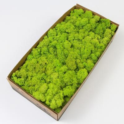 China Different Types Eco - Friendly Indoor Outdoor Custom Decorative Moss Wall For Restaurant Wall for sale