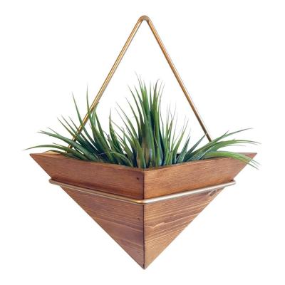 China Handmade Native Wood Geometric Wall Decor Air Plant Holder for sale