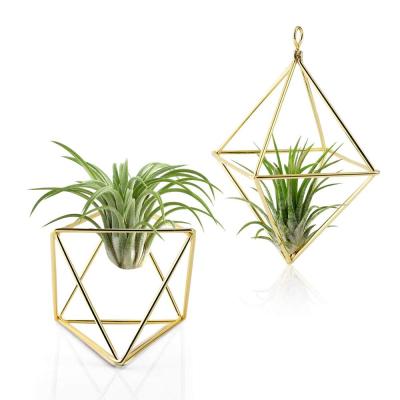 China 2 PCS Metal Air Plant Stand Modern Handmade Tillandsia Geometric Hanging Rack Plant Hangers for sale