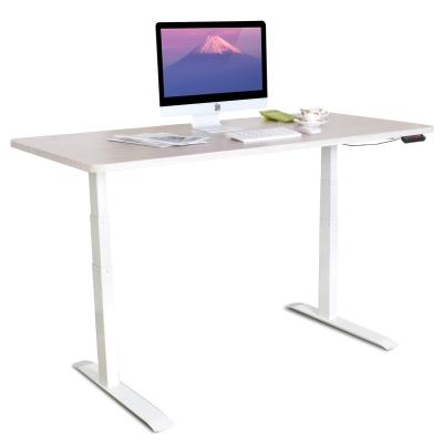 China Modern Dual Motor Height Electric Sit Stand Desk Frame Desk Adjustable Workstation for sale