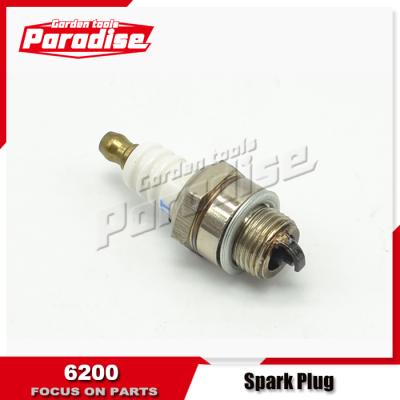 China 2-Stroke Oil Chainsaw Spare Parts 62cc Chainsaw Spark Plug for sale