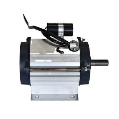 China Explosion-proof Wholesale High Efficient Electrical Single Phase 220V Ac Motor for sale