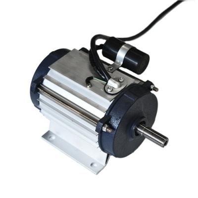 China Explosion-proof Wholesale Single Phase 220V Ac Induction Asynchronous Motor for sale