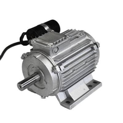 China Explosion-proof Wholesale Ac Motor Single Phase 2Hp Electric Motor Price for sale