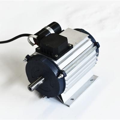 China Explosion-proof High Efficiency Single Phase 220V Ac Electric Motor Price for sale