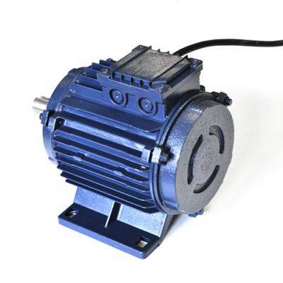 China Explosion-proof Competitive Price Three Phase Asynchronous Motor 380V for sale