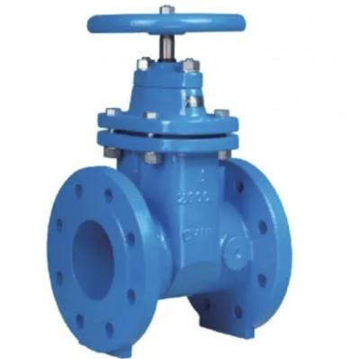 China DN40-DN600 Resilient Seated Gate Valve RSGV Valve For Water Treatment for sale