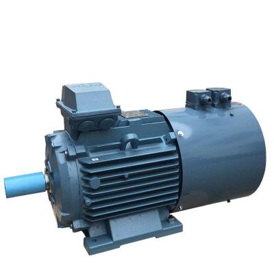 China YE3 Serie 3 Fase 2 polinductiemotor Asynchrone elektromotor Te koop