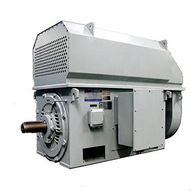 China YKK YRKK Series 6kV eekhoornkooi Hoogspanning Driefasige Asynchrone Elektromotor Te koop