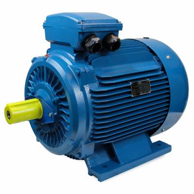 China YE3 Series 8 Pole 3 Phase Induction Motor Three Phase Asynchronous Motor for sale