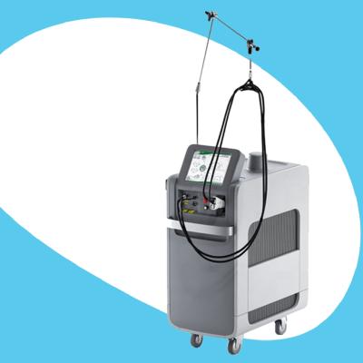 China Alex Alexandrite Hair Removal Pro Laser 755 1064nm ND YAG Soft Laser Hair Removal Machine Max Tattoo Removal for sale