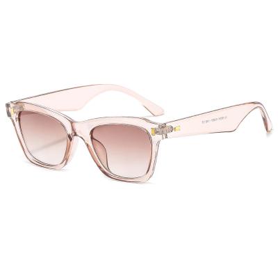 China 10 Years Experience Ultraviolet Proof KL18031 Adjusted Lens Men Women Multicolor Sunglasses for sale