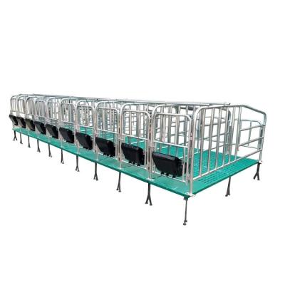 China Well Farms Selling Tube Hog Farm Products Galvanized Hog Setting Bar Hog Limit Bar for sale