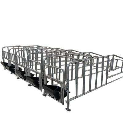 China Farms Competitive Price Pig Farm Equipment Galvanized Steel Hog Crate Hardware Farrow Penning for sale