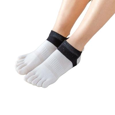 China Fashionable Women's Color Cotton Factory Supply Mesh Toe Breathable Heel Socks for sale