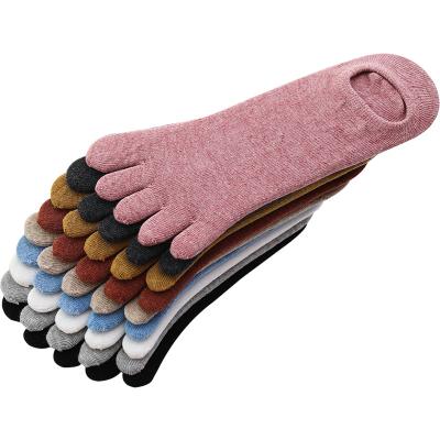 China Many Colors Available Cotton Factory New Product Summer Mouth Women Shallow Toe Socks for sale