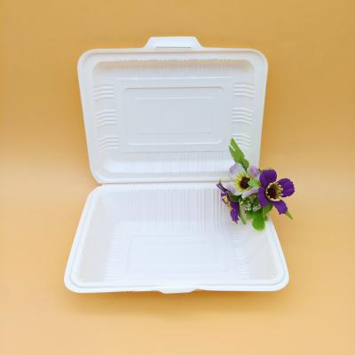 China Food Bento Box Takeaway 600ml Biodegradable Fresh-keeping Cornstarch Flip Cover for sale