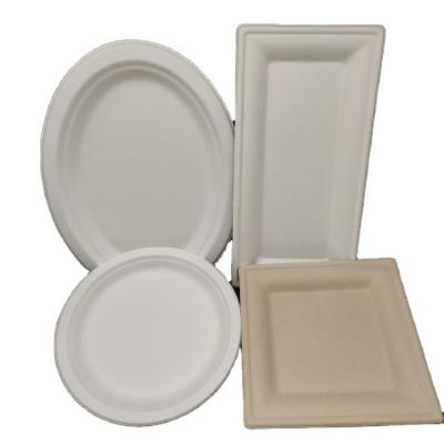 China Biodegradablet Bagasse Disposable Eco Friendly Food Tray Compostable Transparent Meat Plate for sale