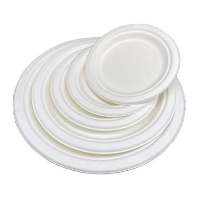 China Disposable 100% Biodegradable Bagasse Round Dish for sale