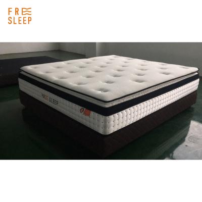 China Wholesale Price Pillow 13inch Latex Foam Pocket Spring Fit Hypoallergenic High Quality Mattress Euro Upper Middle Feeling for sale