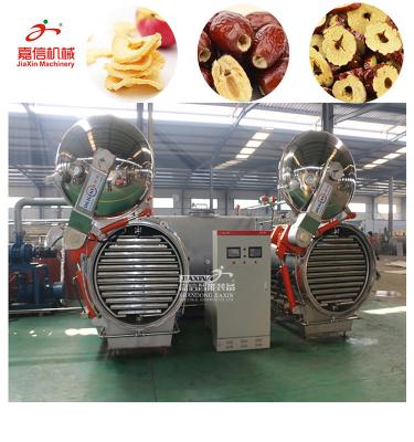 China Widely Used Non-oil Chips Crispy Vacuum Fruit And Vegetable Puffing Equipment for sale