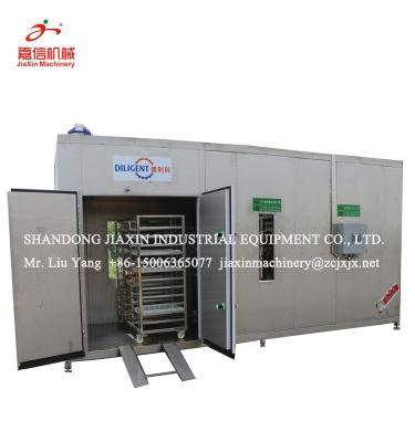 China food & Beverage Plant High Efficiency Natural Gas Fruit And Vegetable Washing And Drying Machine for sale