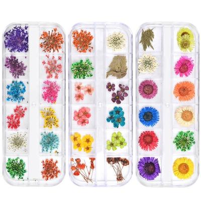 China Real Natural Dry Flowers Hot Dry Flowers Nails Nail Art Plants Leaf Plants Sticker Decals DIY UV Gel Manicure Design Accessories Decorations Mixed Natural Floral for sale