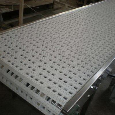 China Heat Resistant Telescopic Mobile Plastic Mesh Belt POM Conveyor for sale