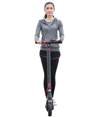 China Unisex Electric Scooter X8 Upgrade Riding Scooter 2000w 40kmh Adult Riding Sport UK Eu Warehouse Ddp Removable Battery Escooter for sale