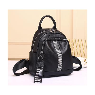 China Other Best Selling Double Lightweight And Fashionable Zipper Ladies Backpack for sale