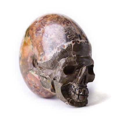 China Wholesale High Quality Natural Europe Conch Ammonite Fossil Carved Crystal Thick Skulls Conch for sale