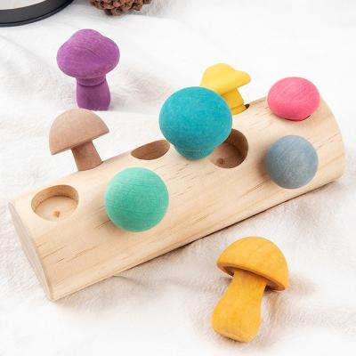 China Role Playing 2022 New Early Childhood Education Toys Fun Macaroon Color Picking Mushroom Wooden Game Play House For Children for sale