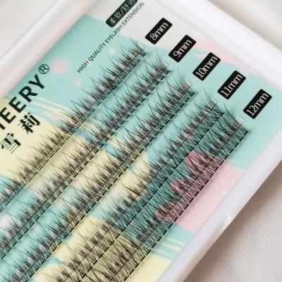 China Mixed net red fairy single eyelash tuft false eyelashes A style natural fish tail 5 rows grafting eyelash for sale