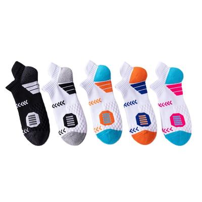 China Sustainable Manufacturer Terry Socks Custom Casual Ankle Sport Functional Running Socks for sale