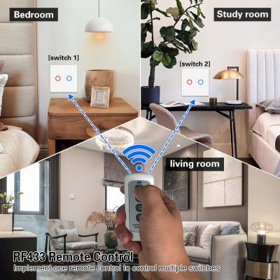 China Home Devices Wireless Remote Switch White 2 Button Remote Control Power Switch for sale