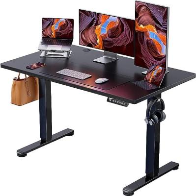 China ErGear Design Computer Desk Table Sit Stand Desk Single Motor Position Height Adjustable Ergonomic Modern Electric Height Adjustable Desk (Height) for sale