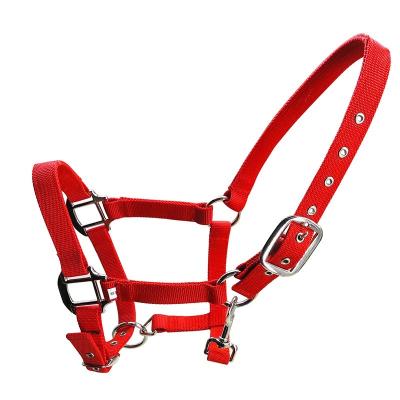 China Synthetic Saddle Customized Colorful PP Strap Halter Horse Bridle Dressage Equestrian Riding Halter for sale