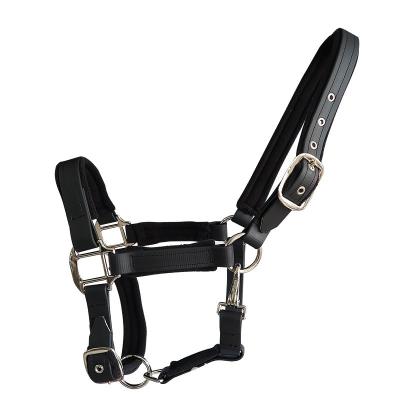 China New Design Customized PVC Synthetic Saddle Colored Halter Horse Bridle Dressage Equestrian Riding Halter for sale