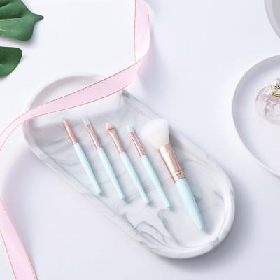 China Convenient Hot Selling Makeup Brush 5pcs Essentials Makeup Tools Mini Makeup Foundation Brush Set for sale