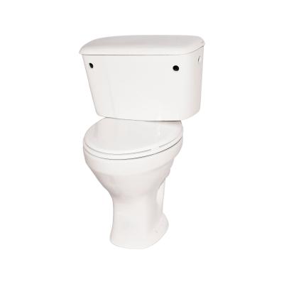 China Double-Flow Hot Sale Modern Ceramic Washdown Toilet Closestools for sale